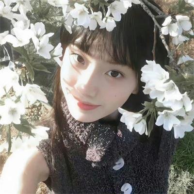 柳绿花红